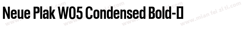 Neue Plak W05 Condensed Bold字体转换 Neue Plak W05 Condensed Bold字体转换